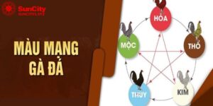 Màu mạng gà đá là gì? Đâu là màu gà đá tốt nhất hiện nay