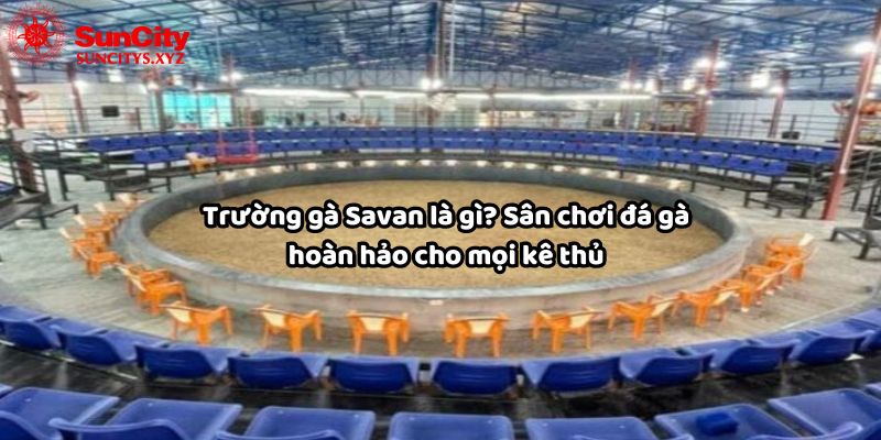 Trường gà Savan là gì? Sân chơi đá gà hoàn hảo tại Suncity